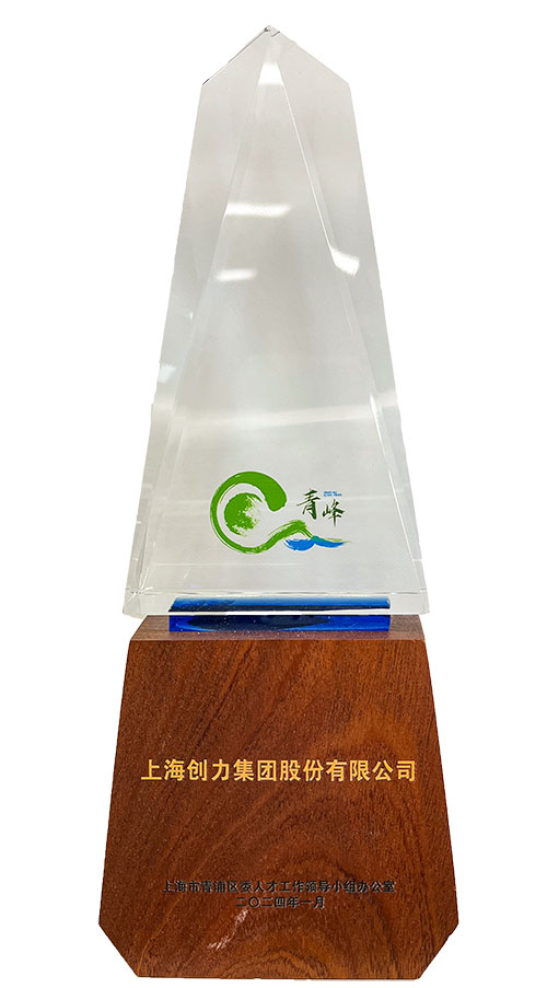 喜報！上海創(chuàng)力集團(tuán)榮獲2023年度青浦區(qū)百強(qiáng)優(yōu)秀企業(yè)等三項大獎(圖3)